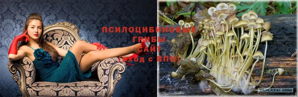 марихуана Алексеевка