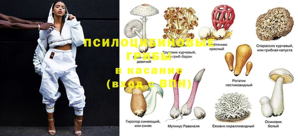 ECSTASY Алексин