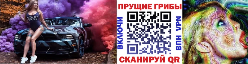 где можно купить наркотик  Тайшет  Псилоцибиновые грибы мухоморы 